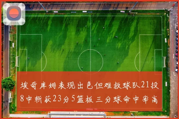 埃奇库姆表现出色但难救球队21投8中斩获23分5篮板三分球命中率高达45
