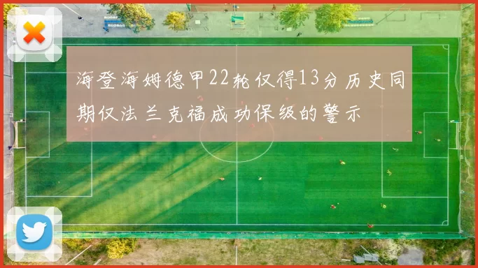 海登海姆德甲22轮仅得13分历史同期仅法兰克福成功保级的警示