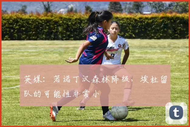 英媒：若诺丁汉森林降级，埃杜留队的可能性非常小