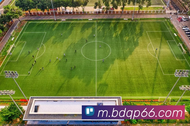 半岛棋牌平台生态图